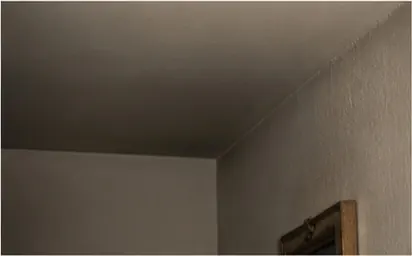 Souris dans les murs : pourquoi entend-on des bruits la nuit ?
